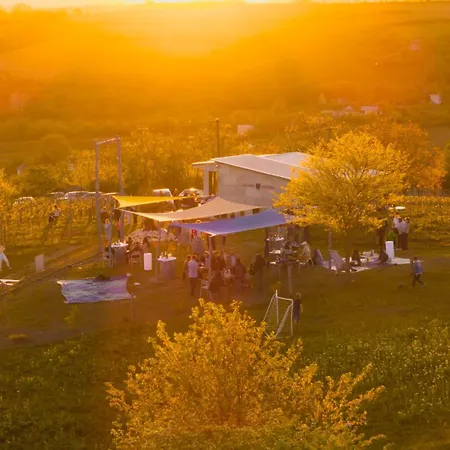 Zalaba Wine House Vila *