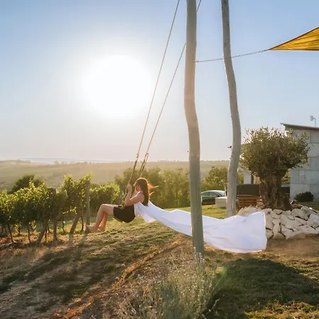 Zalaba Wine House
