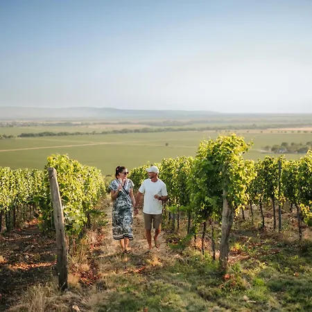 Zalaba Wine House * Muzla