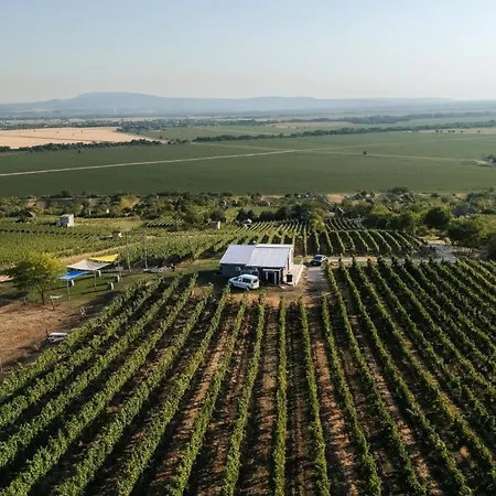 Zalaba Wine House Vila