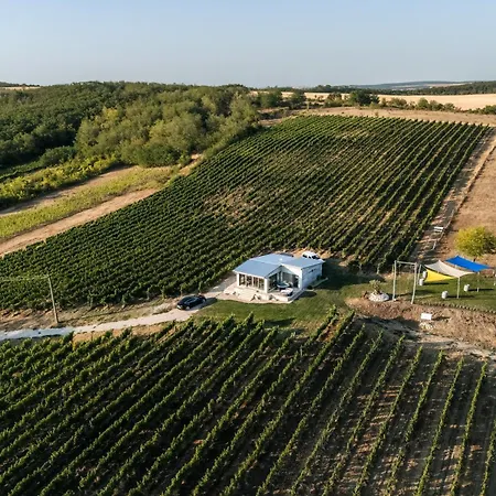 Zalaba Wine House